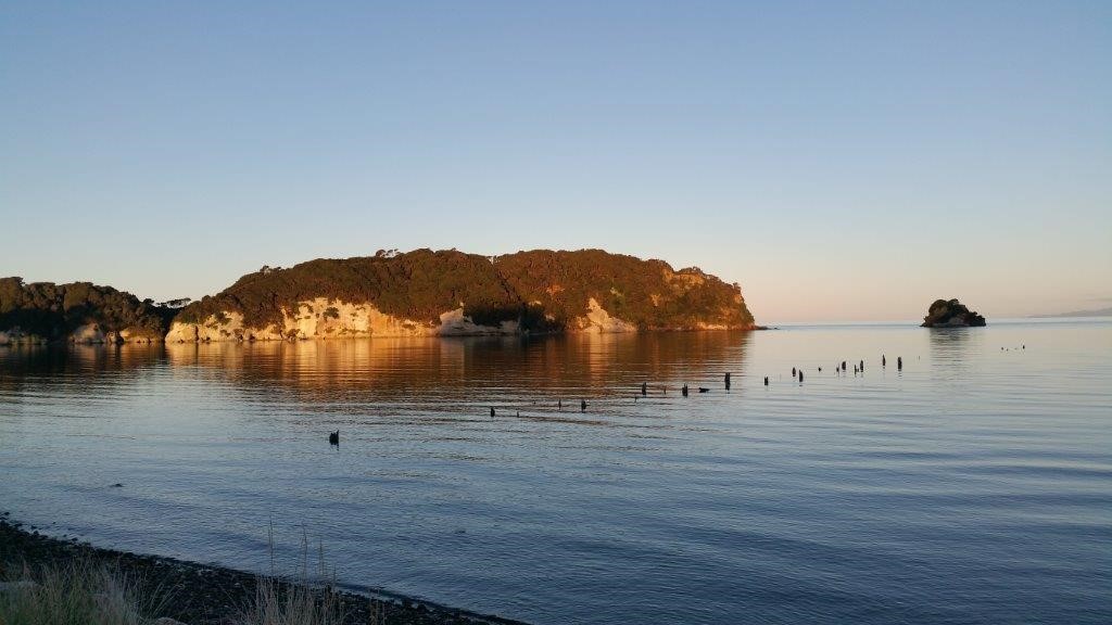 Puponga beach, across road from cottage