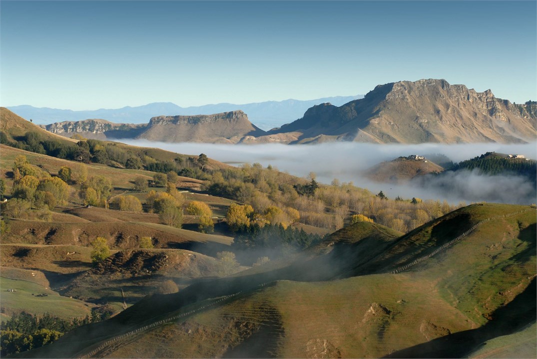 You will drive beneath the iconic Te Mata Peak and