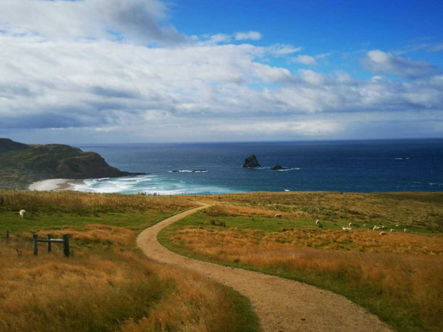 Small scenic view of Dunedin