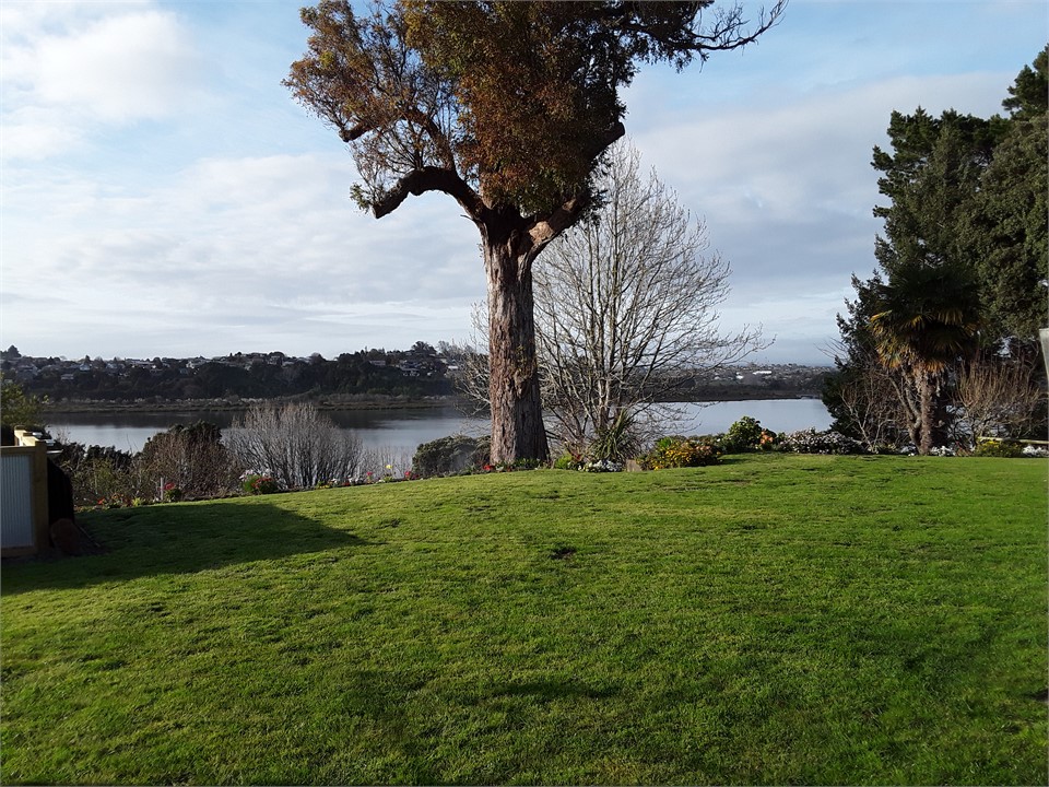 CB's Little Oasis Tauranga Flat for rent Holiday Houses