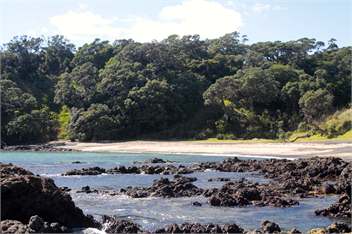 Secluded 4BR Paradise - Northland