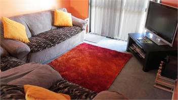 Eyreview Retreat - Free Unlimited WiFi - Christchurch