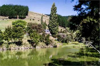 The Pear Orchard Lodge - Richmond