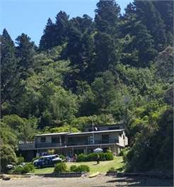 Matuku - Picton