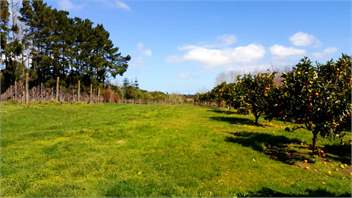 Karaka Point Vineyard & Lodge - Auckland