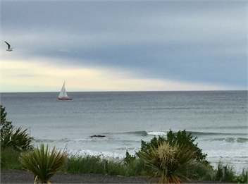 Luxury beach front - Dunedin
