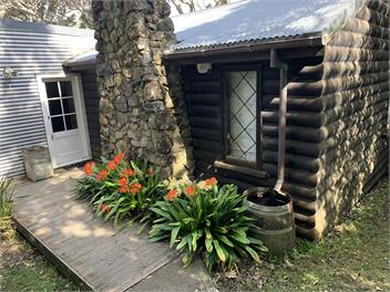 Piha Log Cabin - Auckland 