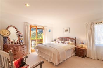 Pointers (Bachcare) - Akaroa