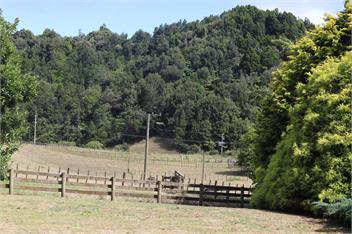 COZY ORGINAL FARM COTTAGE - Tui Ridge Homestay - Ohinewai