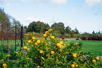 Tuhitarata Country Escape - 5 studios - Martinborough