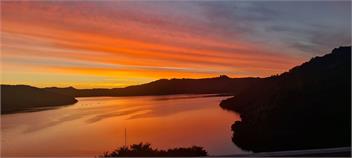 Boho Hill Apartment - Great Barrier Island - Great barrier island