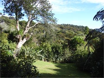 Holiday Home in Te Kouma, Coromandel - Coromandel
