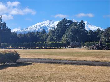MJ's Retreat, Tongariro Alpine Crossing Special - Ohakune
