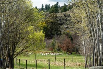 The Gate Keepers Cottage (Bachcare) - Alexandra