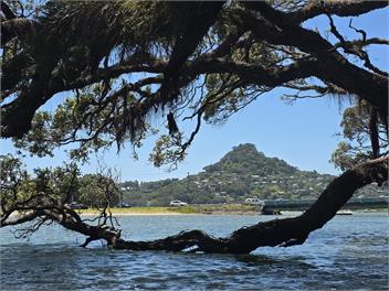 Typical Kiwi Bach, Tairua - Tairua