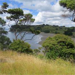 Te Muri Ridge Luxury Retreat - Warkworth