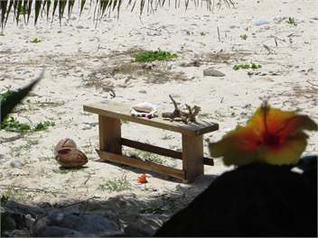 Heron's Reef Bougainvillea Studio - Cook Islands