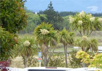Beach Bach Apartment - North Canterbury