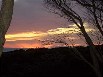 Kupe's Secret (The Bush Bach) - Palliser Bay