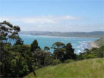 Raglan Retreat - Waikato