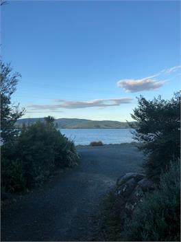 Pete's Place - Curio Bay