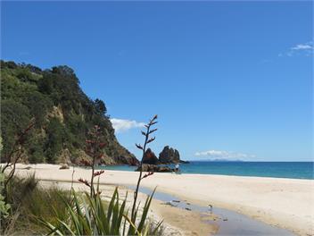 Magnolia Hideaway - Whitianga