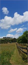 The Log Cabin - Waihi