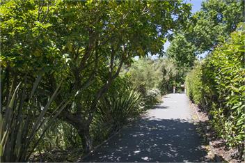 Brookville Cottage - Secluded Central Location - Nelson