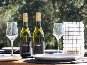 Pinot Longbox (Bachcare) - Martinborough