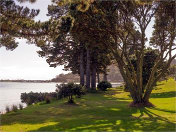 Estuary Escape (Bachcare) - Pauanui