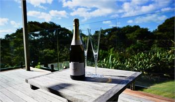 Kākā Ridge Retreat Luxury Cottage - views, privacy Tāwharanui Peninsula Matakana - Matakana