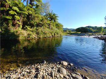 Waitawheta Cottage - Waihi