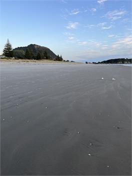 Boutique Accommodation - Mount Maunganui
