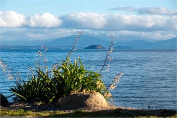 Lakeside Haven (Bachcare) - Wharewaka