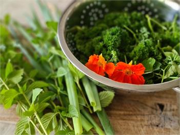 About Thyme for Sleeps and Treats Bed & Breakfast - Alexandra