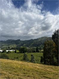 Dehra Doon Chalets - Tasman