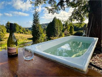Granite Creek Eco Retreat (powered by the sun) - Karamea