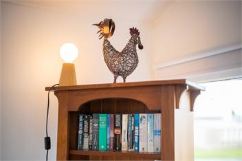 Dragon Fly Cottage (Bachcare) - Te Anau