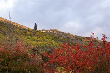 Arrowtown Gem | Stylish Escape | Prime Location - 