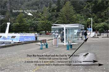Days Bay Apartment: beach, bush, privacy & location - Eastbourne