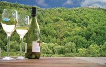 Mapleview - 