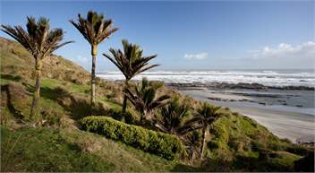 Golden Bay Chalet and Sleep out at Te Hapu  - Nelson