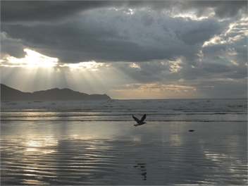 Waikanae Beach House - Kapiti Coast