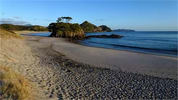 The Lane Cottage, Medland's Beach - Great Barrier Island
