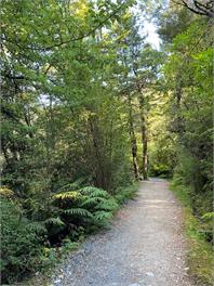 Bush & birdsong minutes from lake - St Arnaud