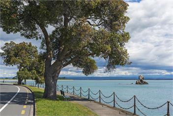 On The Rocks - Nelson Waterfront Holiday Home - Nelson
