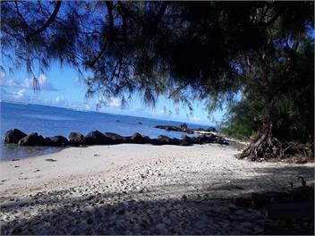 Muri Sunrise Retreat - Rarotonga