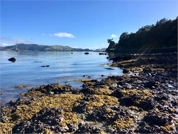 Holiday Home in Te Kouma, Coromandel - Coromandel