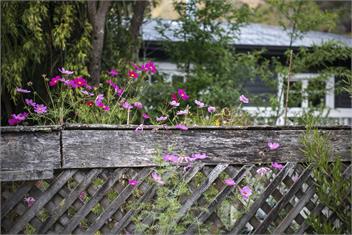 River Walk Cottage - Nelson
