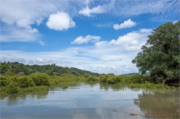 The Nature Hub - Whangarei